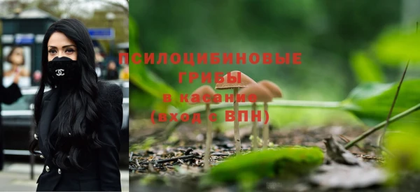 ALPHA-PVP Верхний Тагил