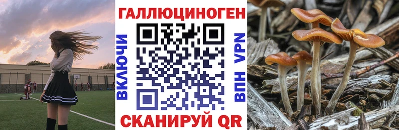 Псилоцибиновые грибы ЛСД Набережные Челны